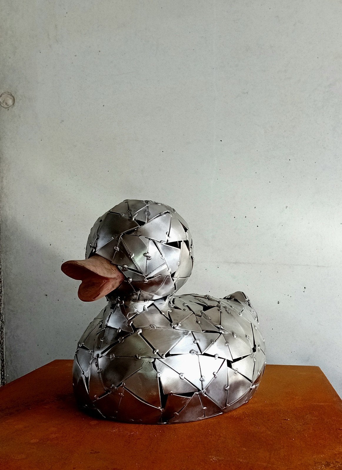 inox "armor Duck", Ophalen, Hout