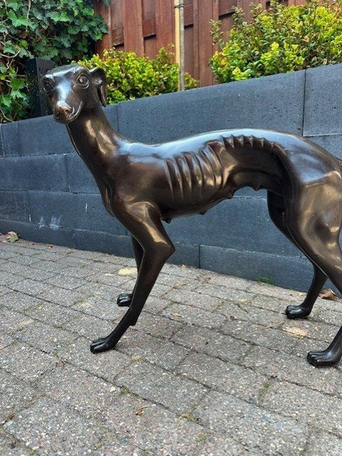 groot bronzen sculptuur hond windhond whippet greyhound, Enlèvement ou Envoi, Brons