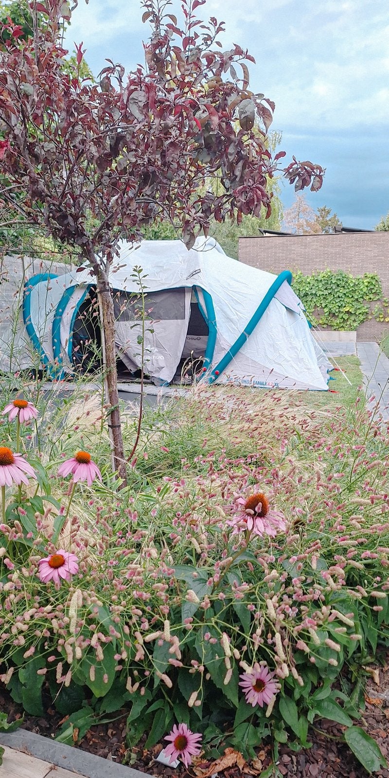 AIR SECONDS 4.2 FRESH&BLACK 4 personen - QUECHUA, Caravans en Kamperen, Tenten, Ophalen, Zo goed als nieuw