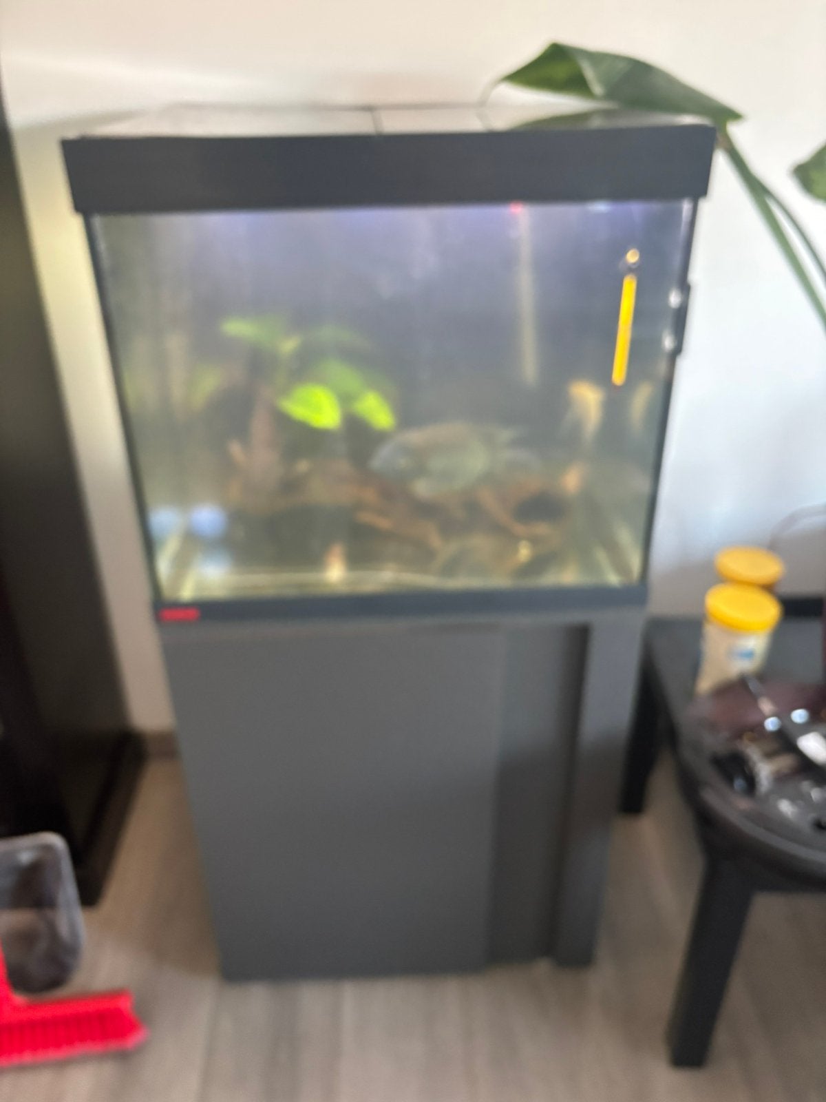 Eheim aquarium, Dieren en Toebehoren, Ophalen, Zo goed als nieuw, Verwarming, Eheim