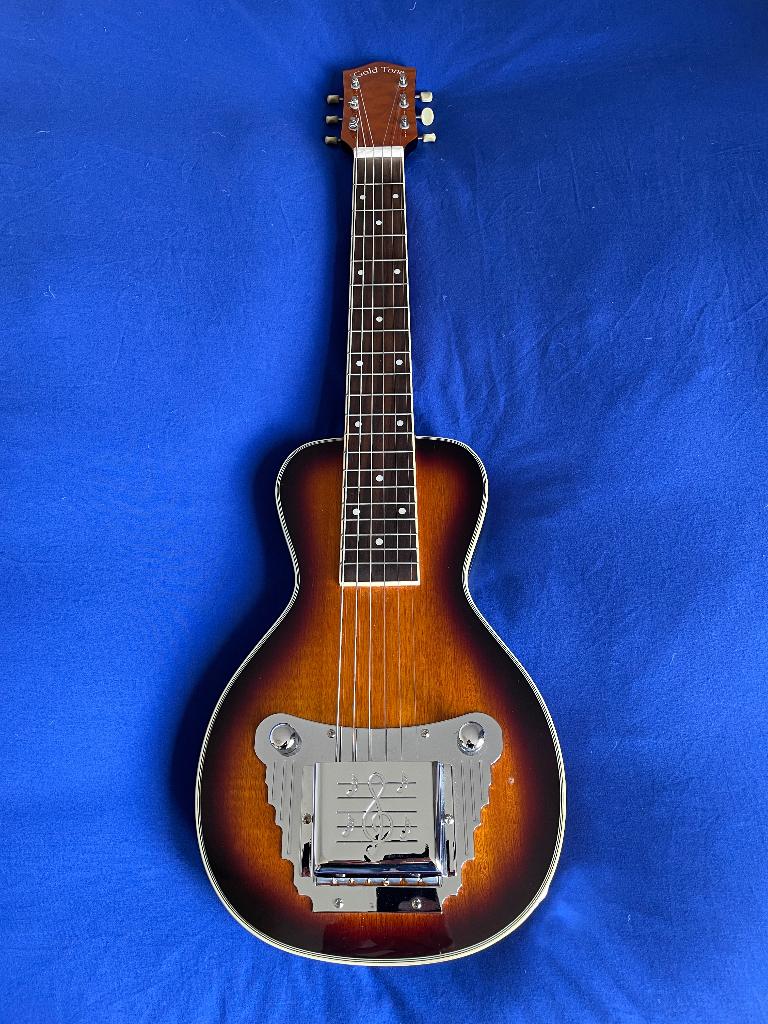 Goldtone LS-6 lap steel, Ophalen, Gebruikt, Solid body, Overige merken
