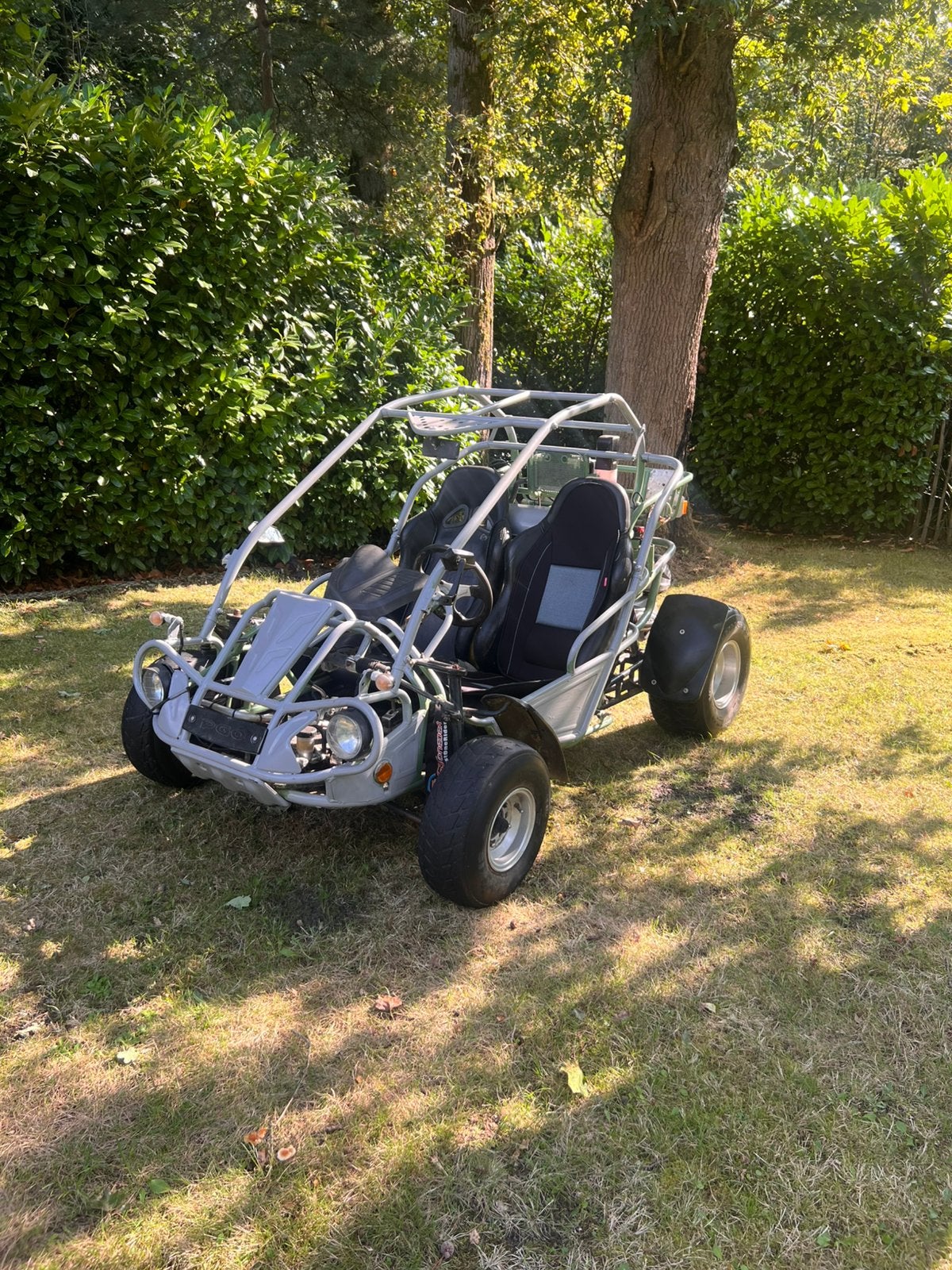 Buggy pgo 250, Motoren