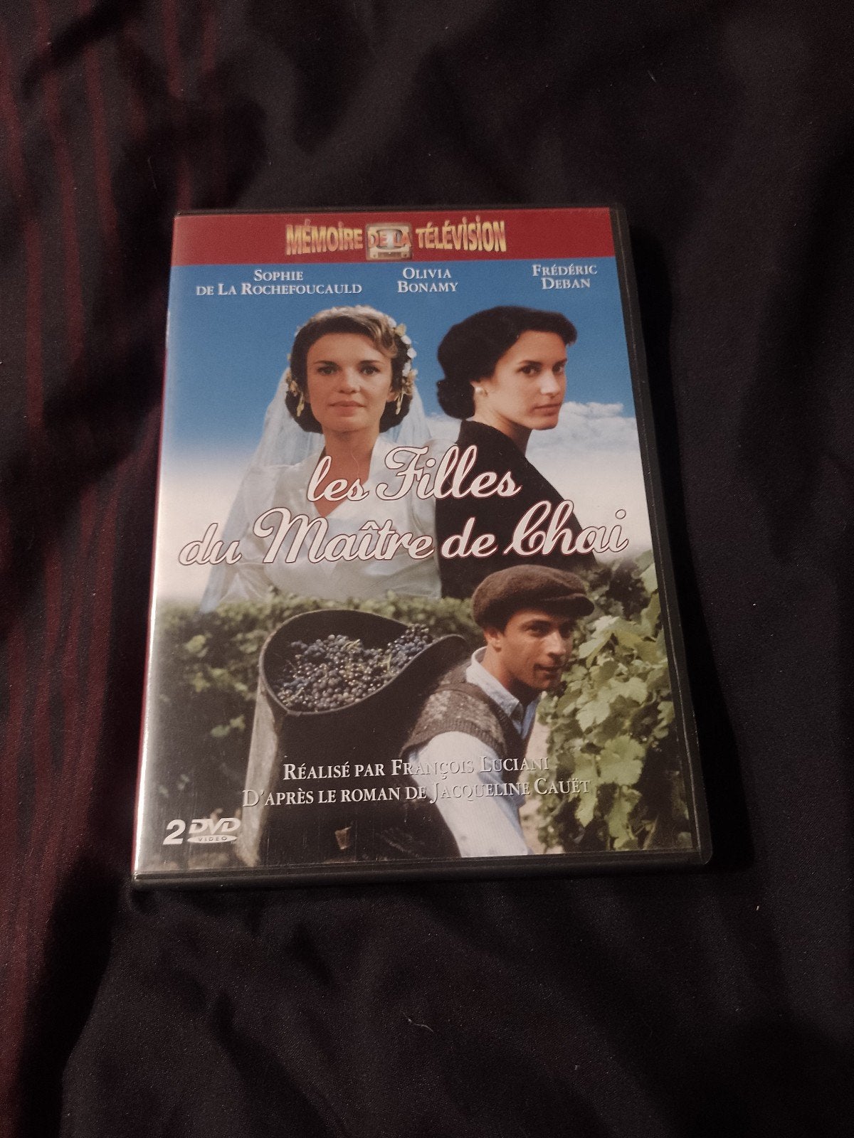 A vendre coffret dvd intégrale Les filles du maître de chai, CD & DVD, DVD | TV & Séries télévisées, Drame, Français, Comprend un boîtier
