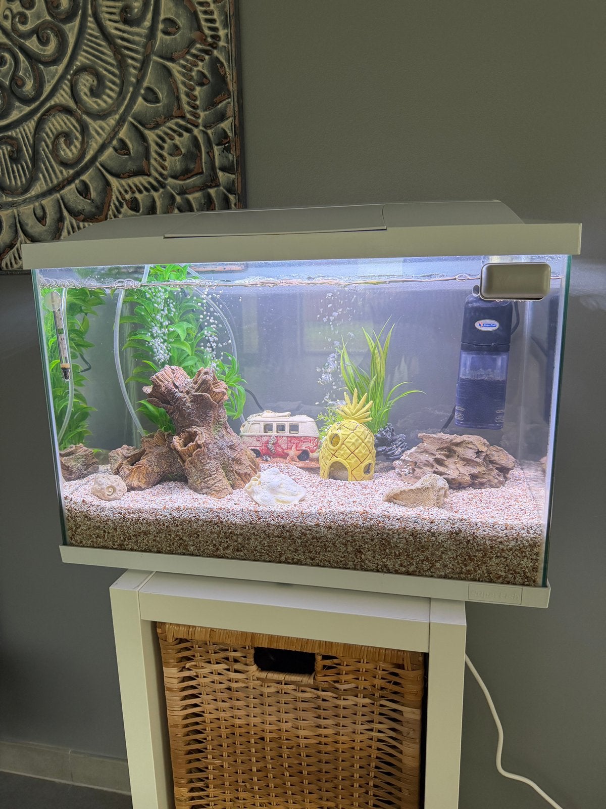 Aquarium te koop, Dieren en Toebehoren, Ophalen, Zo goed als nieuw
