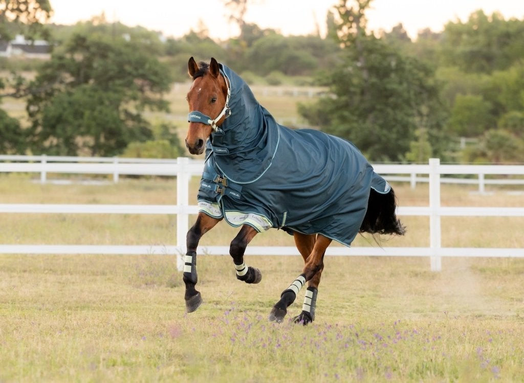 LeMieux Arika Ripstop Regendeken 0g Jungle 185 tm 205 SALE!, Dieren en Toebehoren, Paarden en Pony's | Dekens en Dekjes, Full (L)