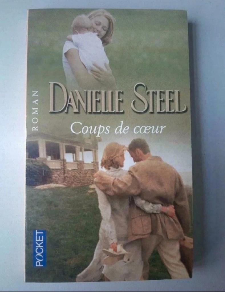 Danielle Steel Coups de cœur, Enlèvement, Utilisé