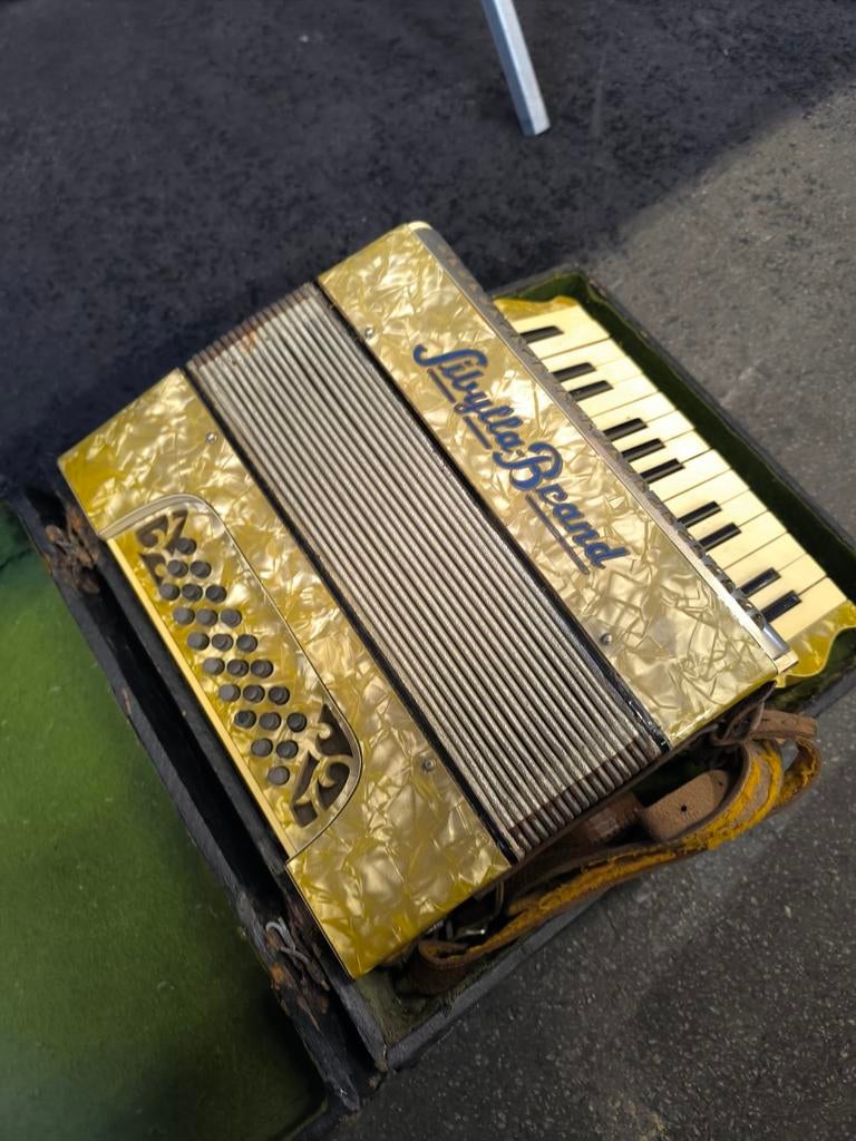 een zeer oude accordeon werkt prima, Musique & Instruments, Enlèvement