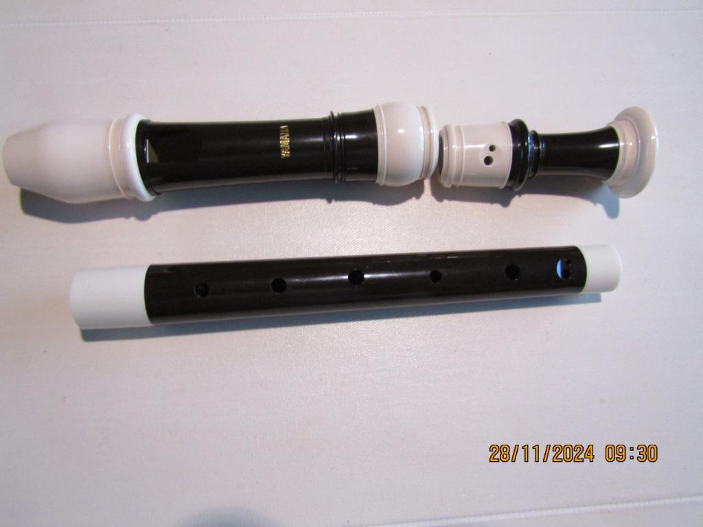 Flute a bec alto, Musique & Instruments, Instruments à vent | Flûtes à bec, Enlèvement, Comme neuf, Alto, Avec valise, étui ou housse