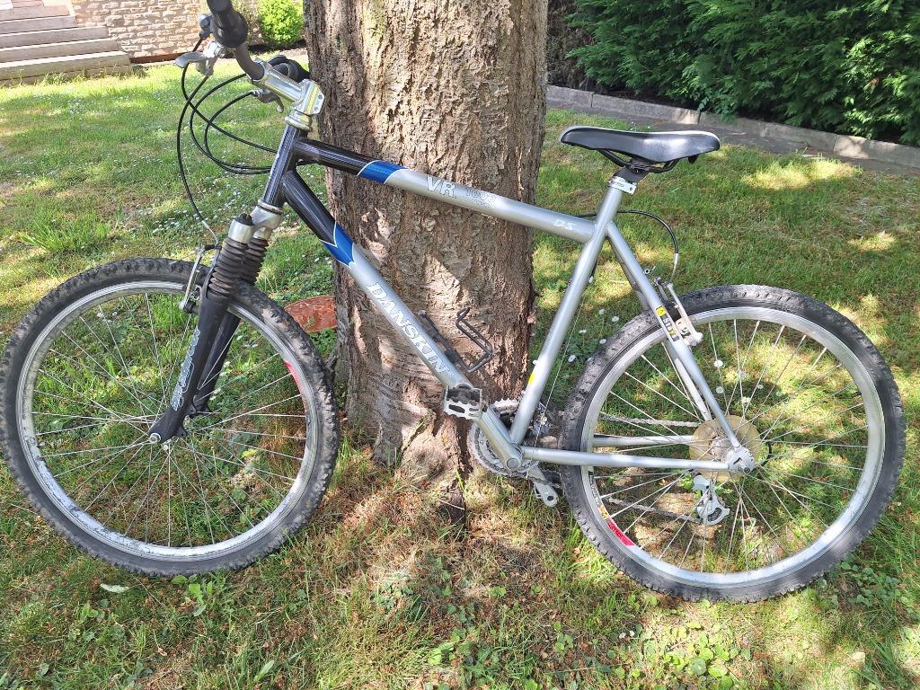 VTT Danskin, Autres marques, Enlèvement, Moins de 45 cm, Hommes