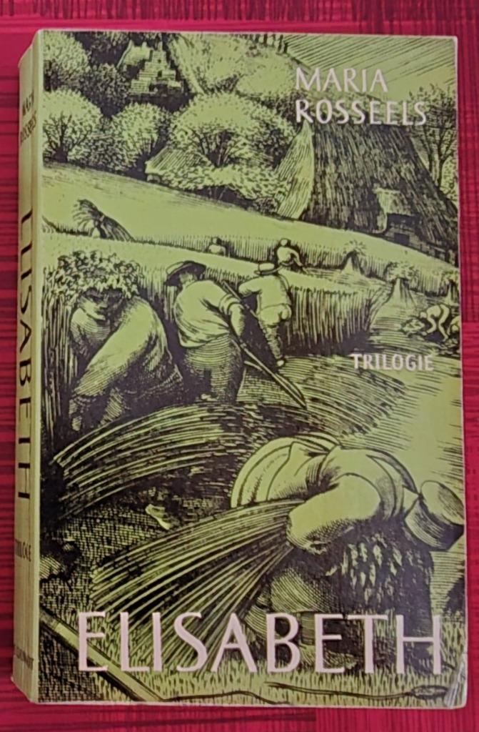 Maria Rosseels - Elisabeth, Boeken, Ophalen of Verzenden, Gelezen, Maria Rosseels, België