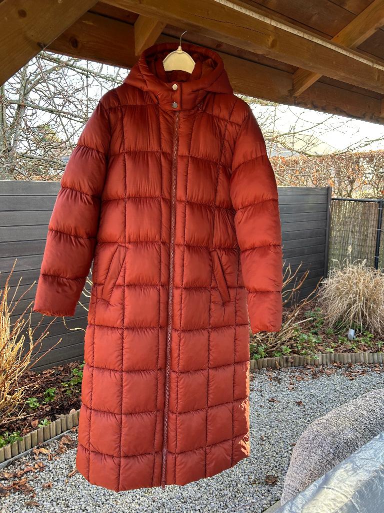 Nieuwe donsjas maat 44, Bruin, Maat 42/44 (L), Ophalen of Verzenden, Cream