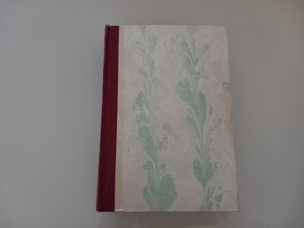 Boek W.D. Ellis Jonathan Blair Literatuur Roman Thriller, Ophalen of Verzenden, W.D. Ellis