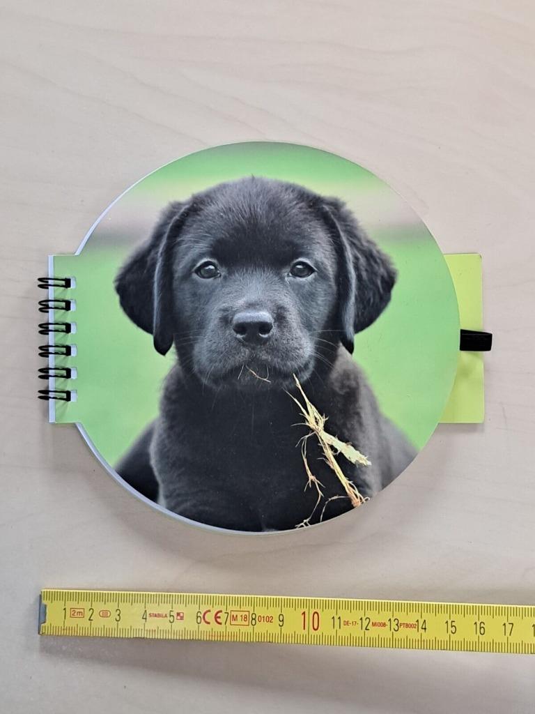 gratuit petit bloc note Labrador chiot chien, Enlèvement ou Envoi, Autres