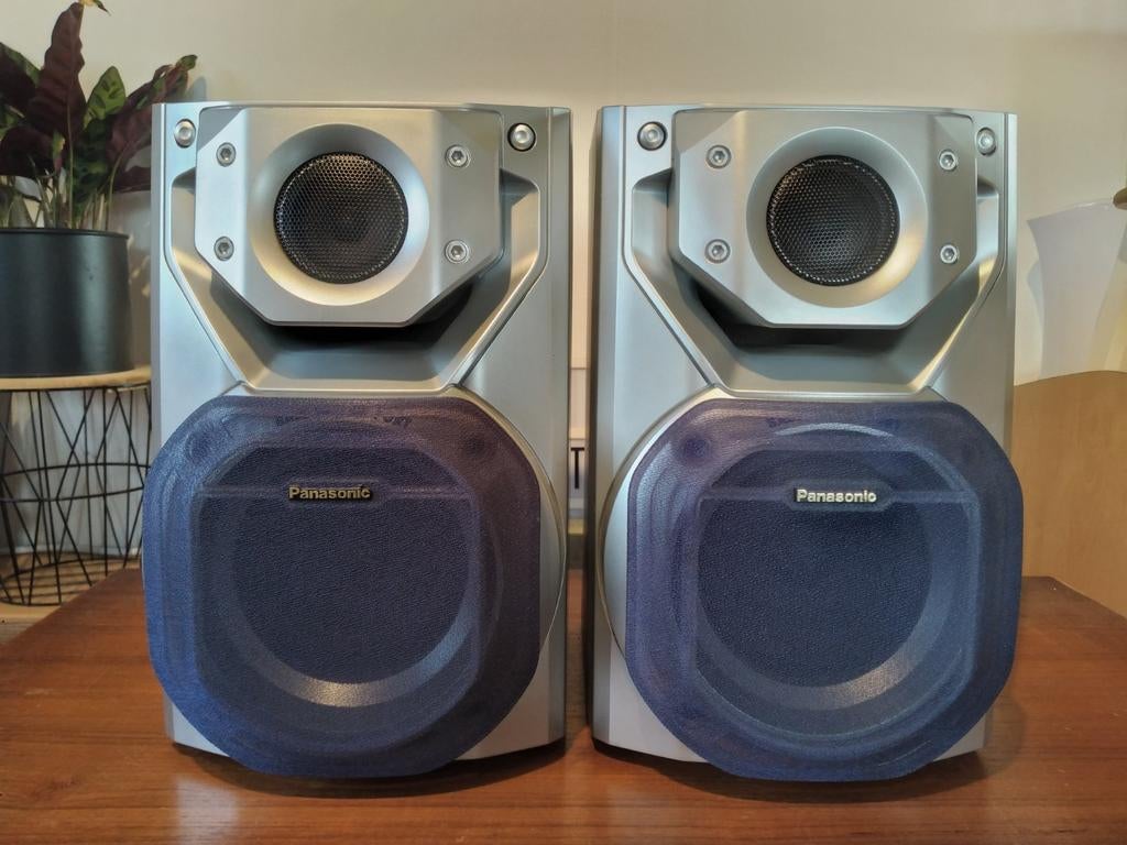 Panasonic SB-AK22 luidsprekers – 100W, 6 Ohm – Goede staat, Ophalen, Gebruikt