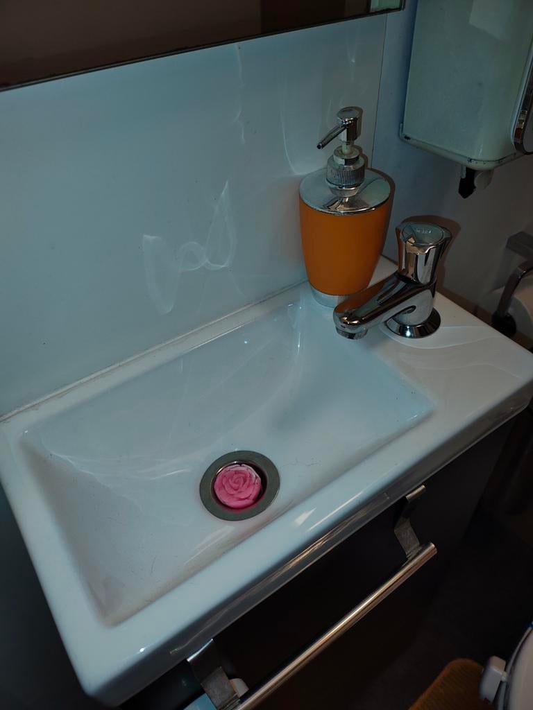 Vasque de WC, Bricolage & Construction, Enlèvement