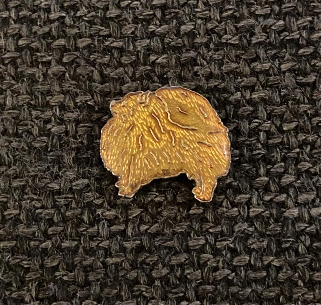 PIN - HOND - CHIEN - DOG, Envoi, Utilisé, Animal et Nature, Insigne ou Pin's