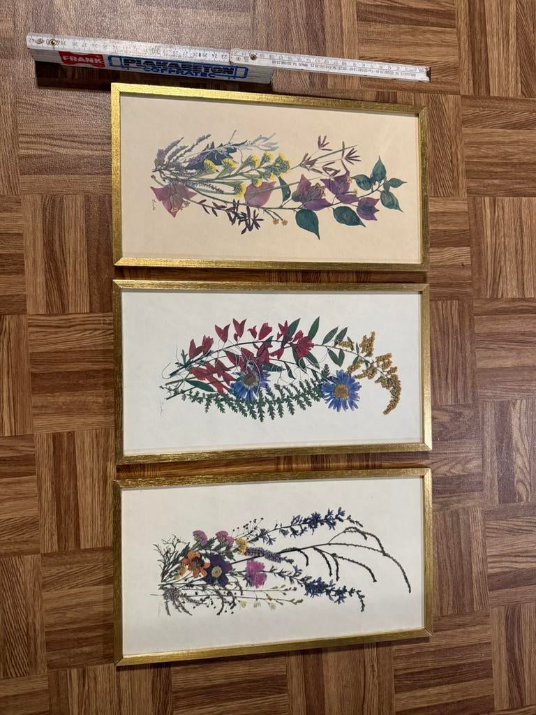 3 gouden kaders met bloemen planten, Ophalen of Verzenden