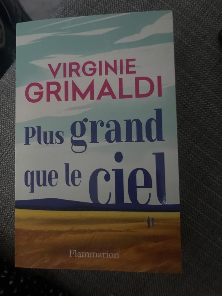 Virginie Grimaldi.Plus grand que le ciel.Flammarion 2024., Livres, Enlèvement, Neuf