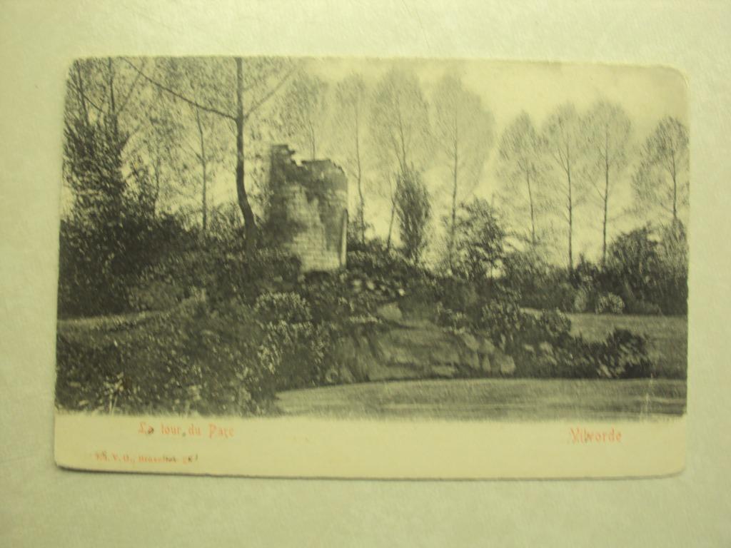 55461 - VILVORDE - LA TOUR DU PARC - ZIE 2 FOTO'S, Envoi
