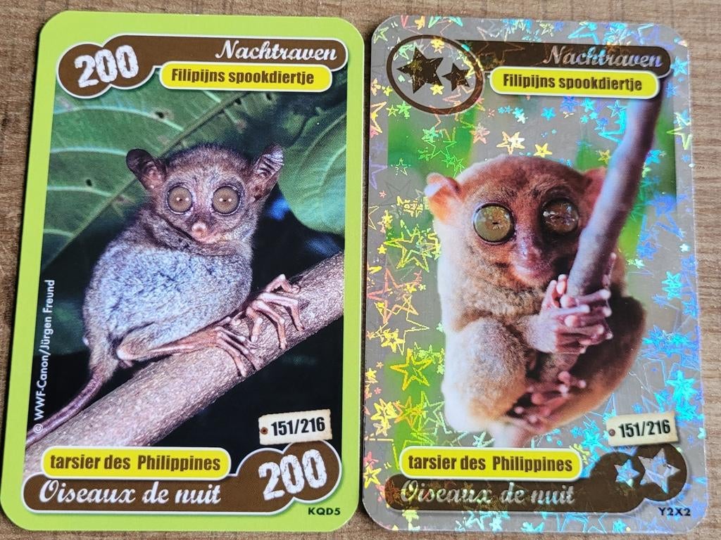 2 fotokaarten: Filipijns spookdiertje, 1980 à nos jours, Enlèvement ou Envoi, Gravure, Comme neuf