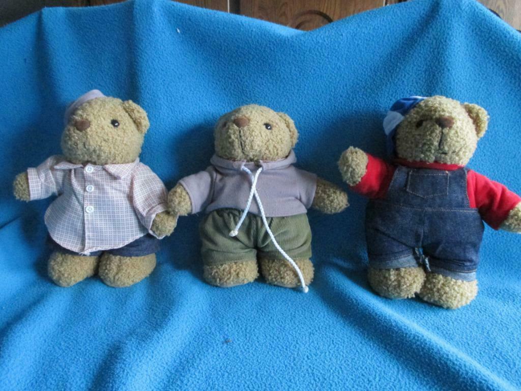 beer knuffel, Verzamelen, Beren en Cherished Teddies, Ophalen of Verzenden, Zo goed als nieuw, Stoffen beer, Overige merken