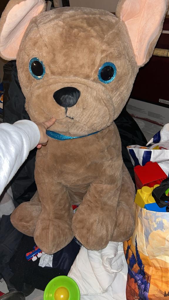 Grote hond, Ophalen, Zo goed als nieuw, Hond