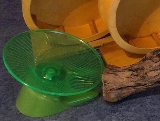 Loopwieltje voor Dwerghamsters met Spinning, Dieren en Toebehoren, Ophalen of Verzenden, Zo goed als nieuw