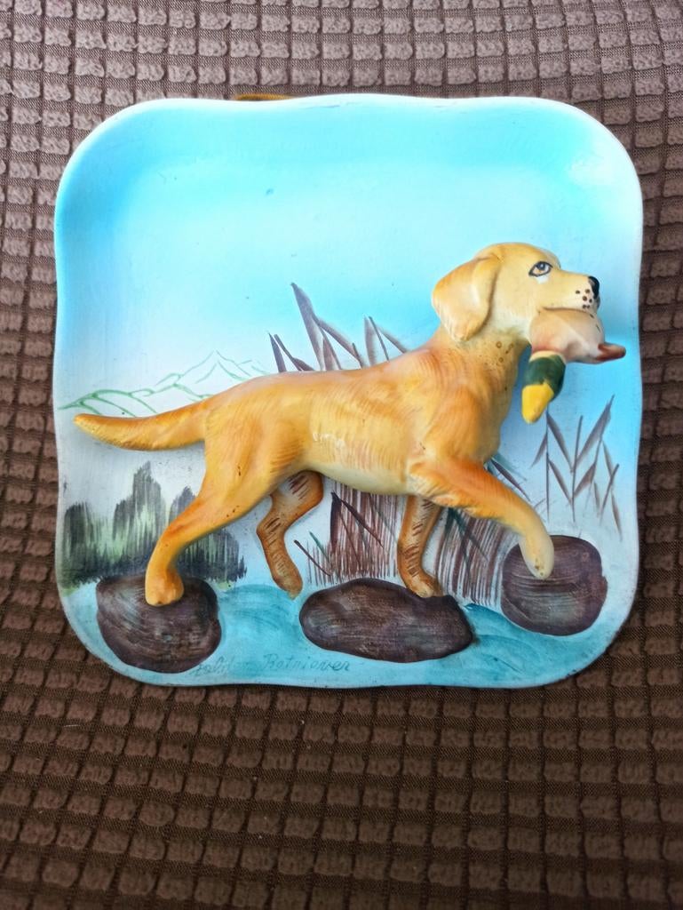Napco Golden retriever, Enlèvement