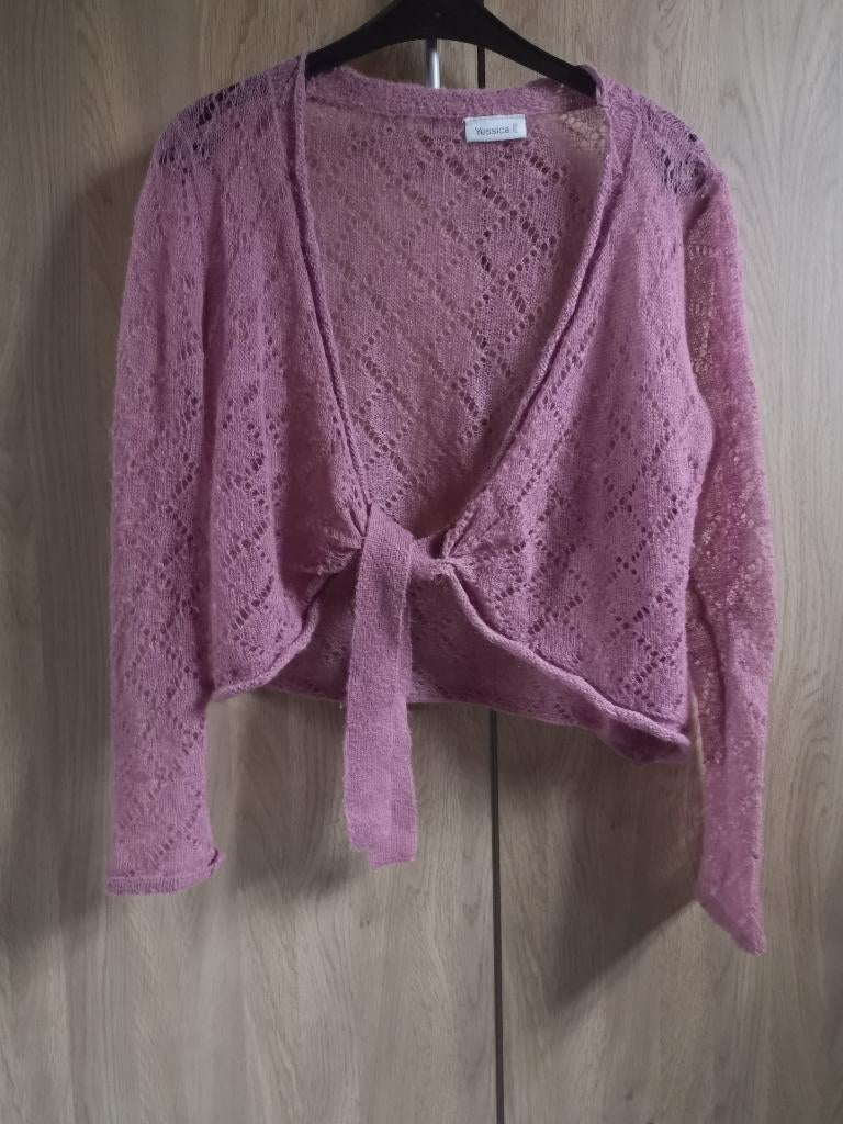 Roze cardigan 30 % mohair maat 46/48, Kleding | Dames, Ophalen of Verzenden, Maat 46/48 (XL) of groter, Roze