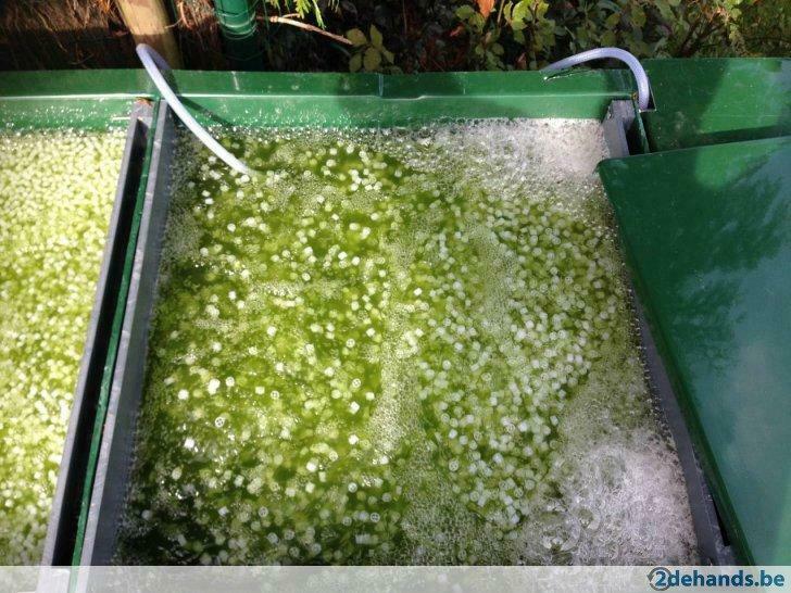 Oase Proficlear Premium incl Aquaworld Eskada XL!, Tuin en Terras, Nieuw