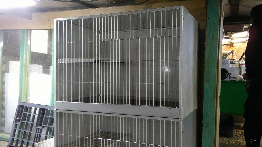 cages complète pour petits animaux avec les caillebotis en b, Animaux & Accessoires, Enlèvement, Utilisé, Cage