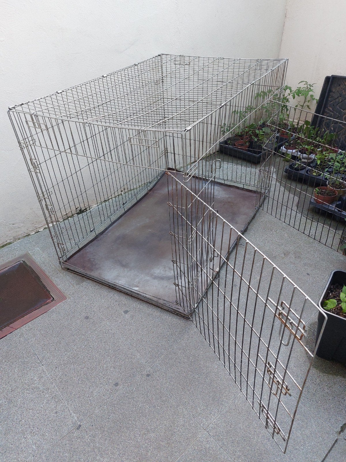 Grand cage pour Grand chien, Animaux & Accessoires, Enlèvement