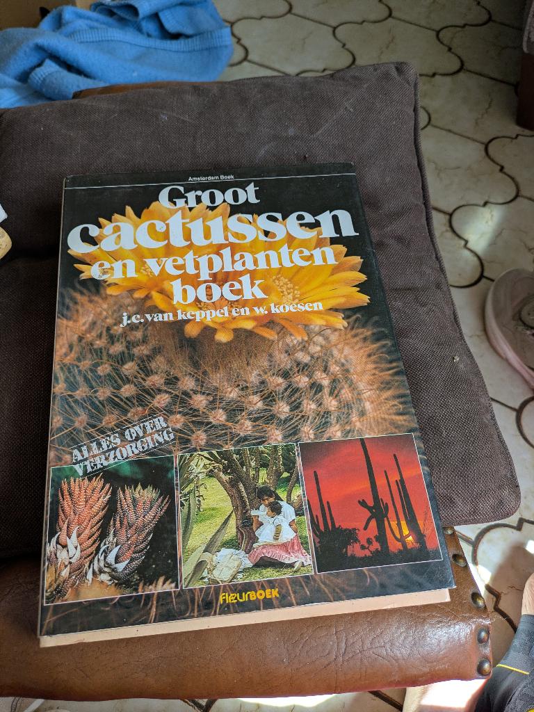 Groot cactussen en vetplanten boek, Enlèvement ou Envoi, Plantes d'intérieur, Utilisé, J.c. van keppel