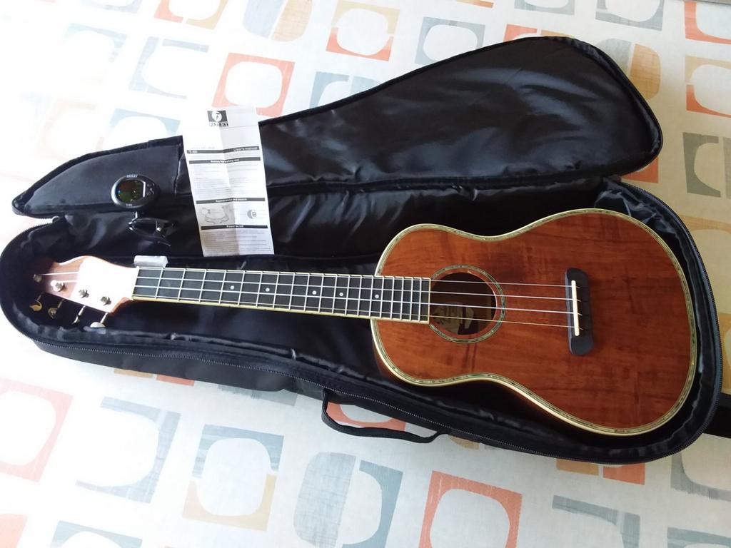 Ukelele Fender Montecito, Ophalen