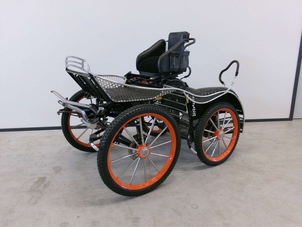 Nieuwe Leon enkelspan marathonwagen. Zeer compleet. 23/27 in, Dieren en Toebehoren, Niet ingevuld, Niet ingevuld, Nieuw, Marathonwagen