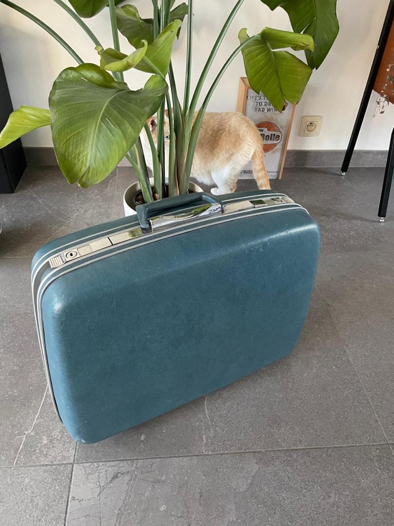 Vintage Samsonite reiskoffer, Handtassen en Accessoires, Koffers, Ophalen, Gebruikt