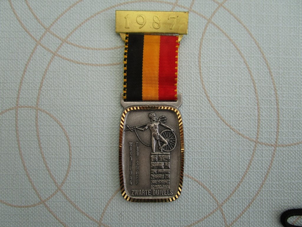 militair, medaille zwarte duivels, Enlèvement, Armée de terre, Ruban, Médaille ou Ailes