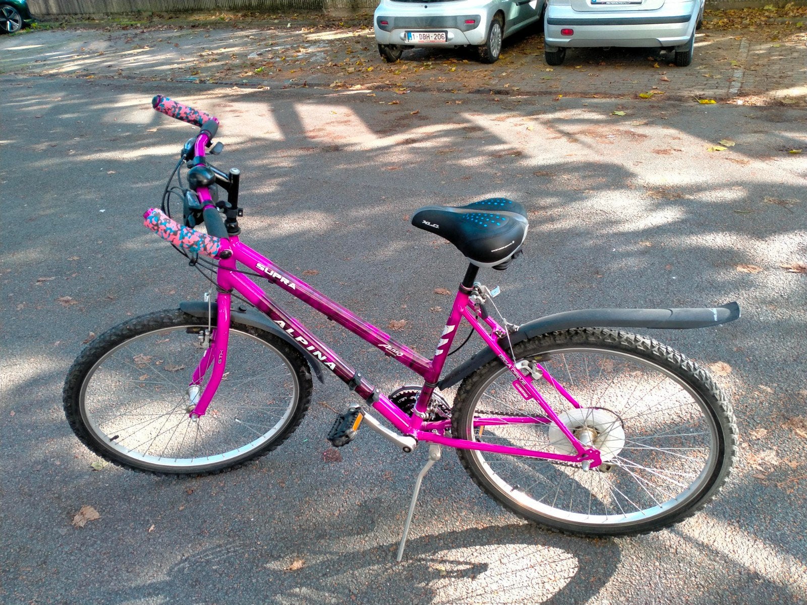 crossfiets Alpina Supra 21 versnellingen, Enlèvement, Vitesses