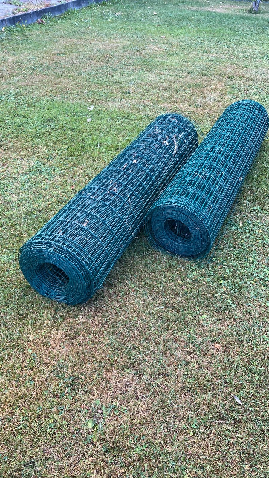 2 Rouleaux Treillis Soudé Vert 1,5m x 25m - Grillage Jardin, Enlèvement, Comme neuf, Fil