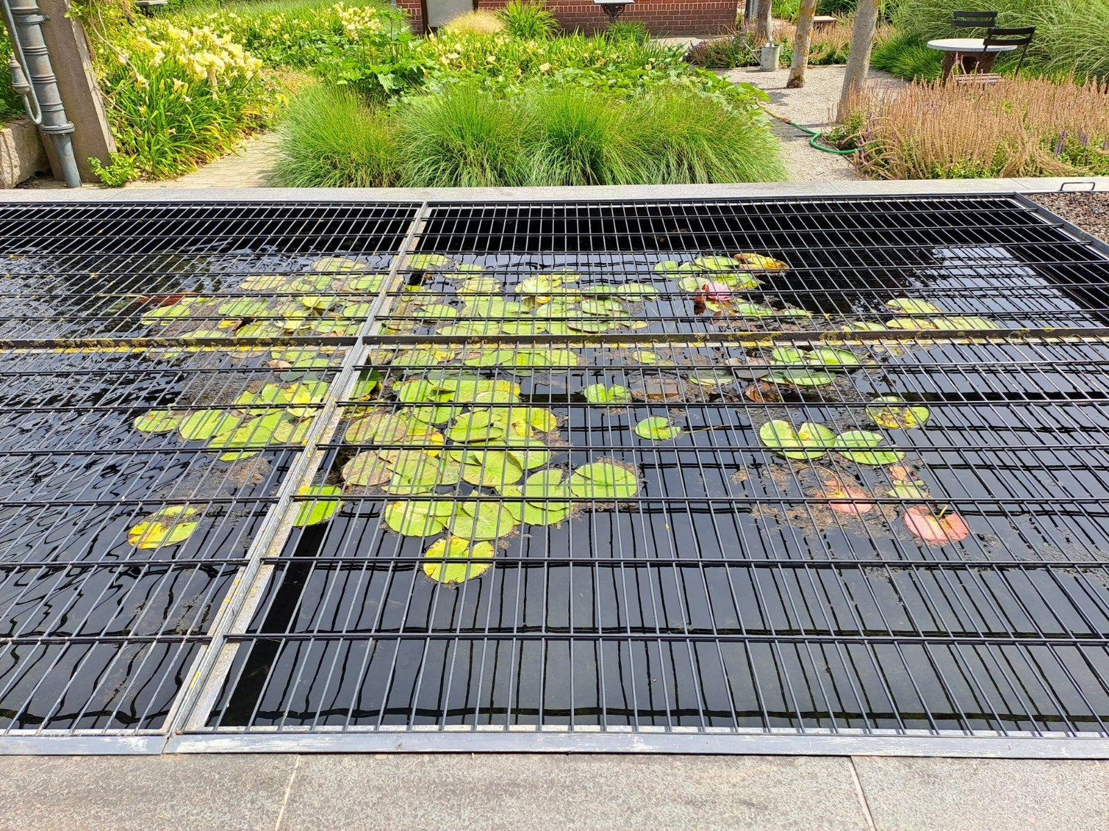 WATERLELIES, Tuin en Terras, Ophalen
