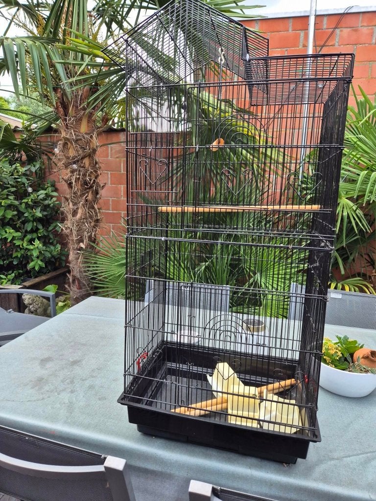 Grote vogelkooi, Dieren en Toebehoren, Ophalen, Gebruikt, Aluminium, Vogelkooi