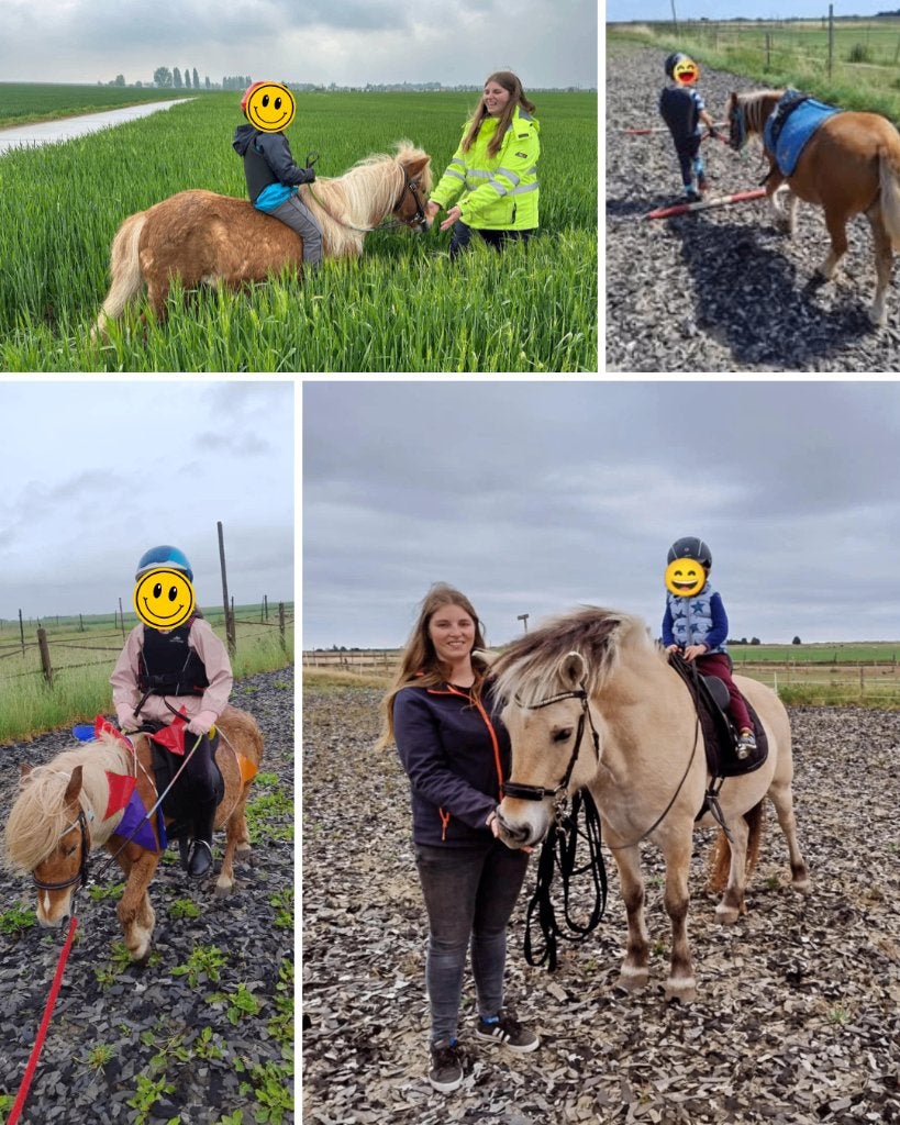 Gezocht pony, Ruin, Zadelmak