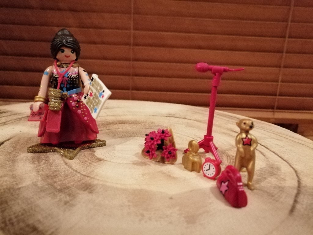 PLAYMOBIL - EverDreamers, Ophalen