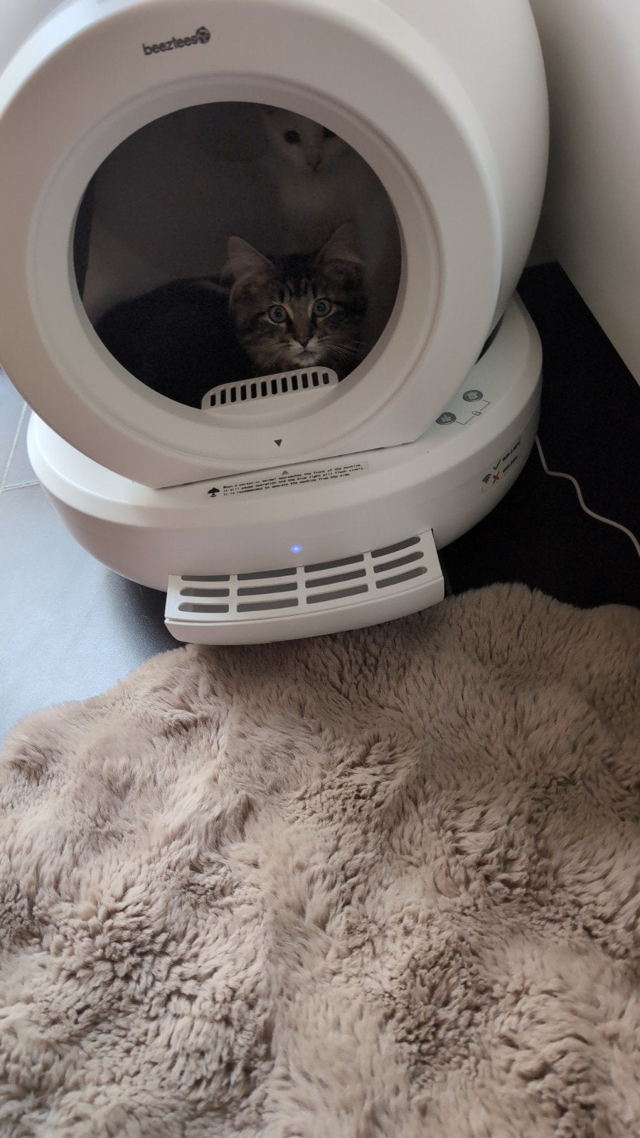 automatische reinigen kattenbak, Ophalen of Verzenden, Zelfreinigend, Nieuw, Gesloten