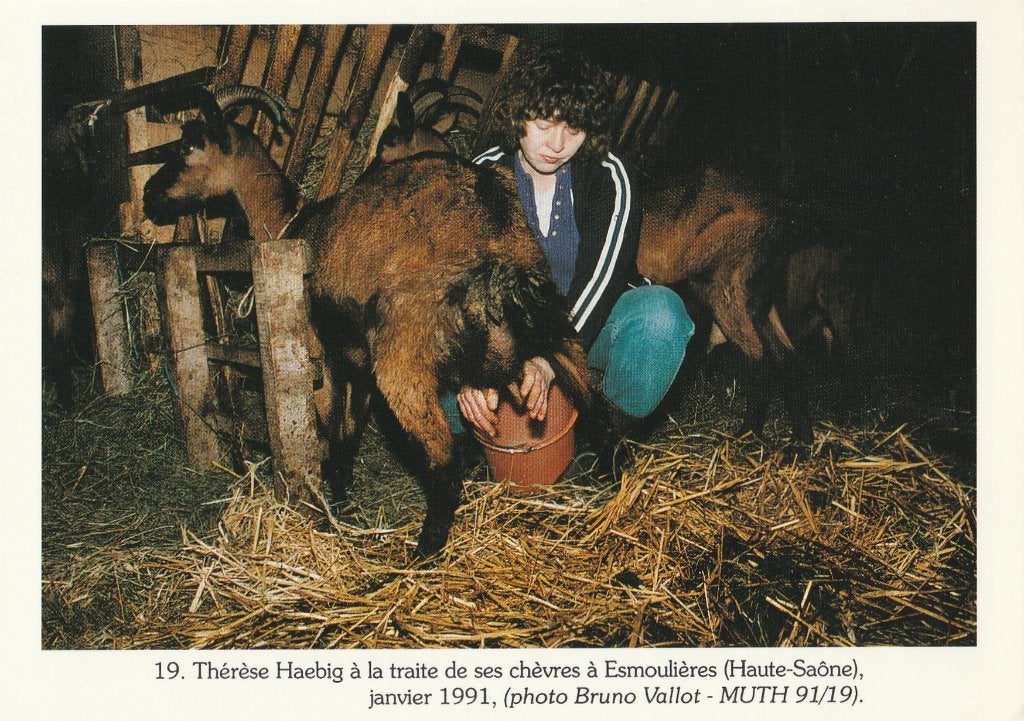 GEITEN  MELKEN  in  ESMOULIERES, Verzamelen, Postkaarten | Dieren, Verzenden, 1980 tot heden, Ongelopen, Overige soorten