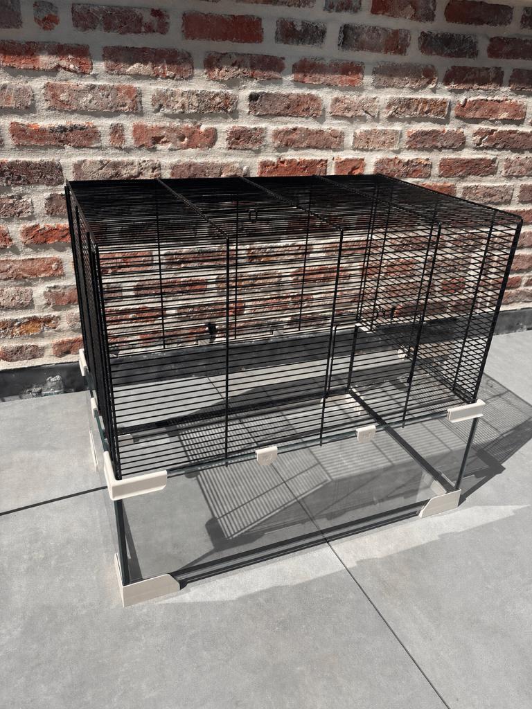 Knaagdierenkooi / Hamsterkooi, Kooi, Minder dan 75 cm, Zo goed als nieuw, Muis