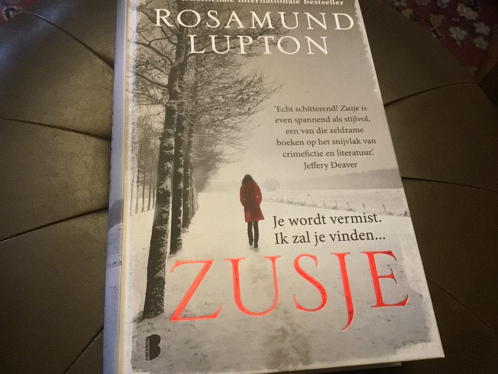 Boek je wordt vermist, ik zal je vinden zusje R. Lupton, Ophalen of Verzenden, Nieuw