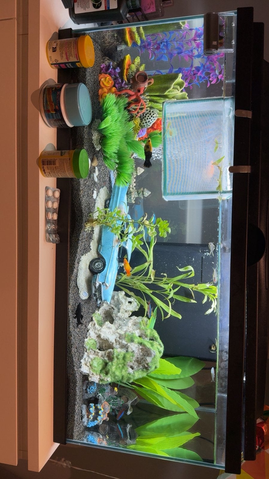 Aquarieum, Dieren en Toebehoren, Ophalen, Zo goed als nieuw, Leeg aquarium