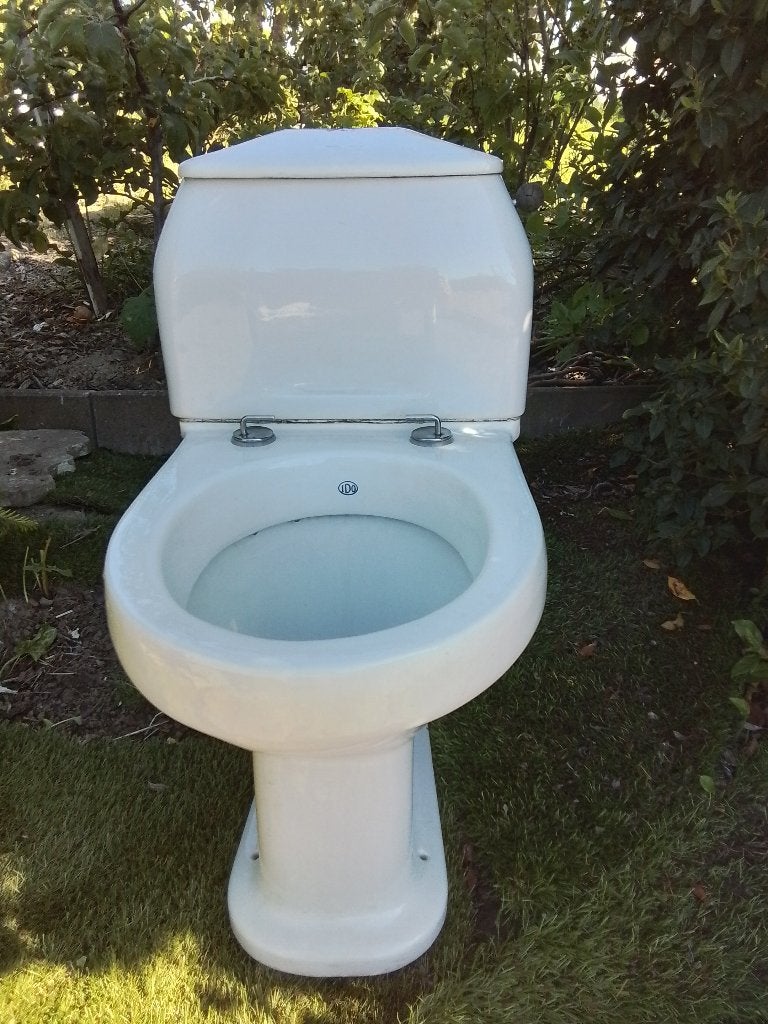 Mooie standaard retro wc, Ophalen