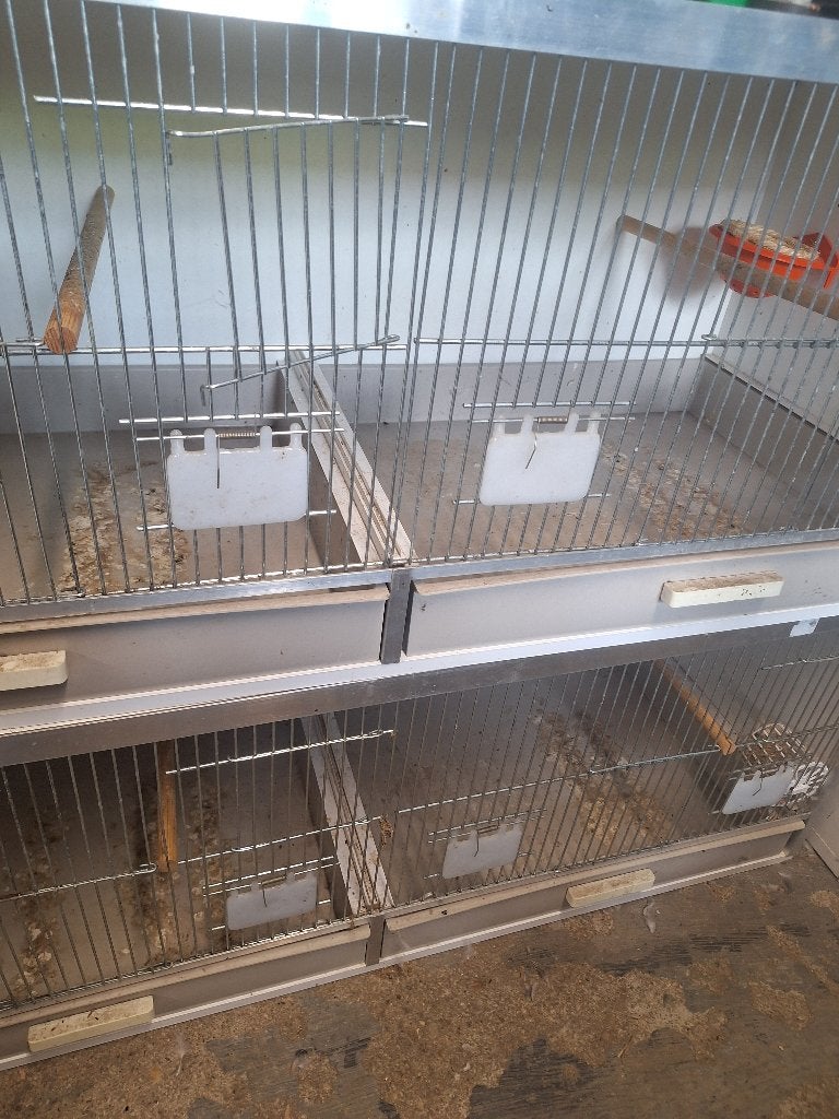 Kweekkooi, Dieren en Toebehoren, Ophalen, Zo goed als nieuw, Overige materialen, Broedkooi of Kweekkooi